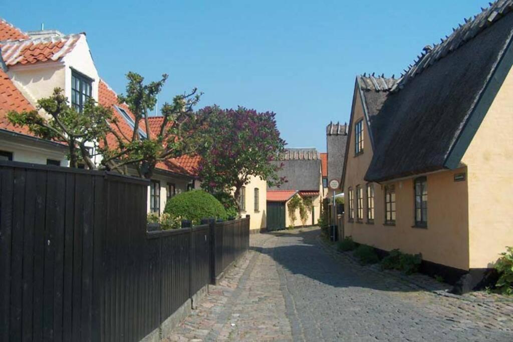 Fantastic House In Dragor. Villa Екстериор снимка